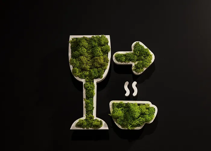 La Valiz 酒店 里尔